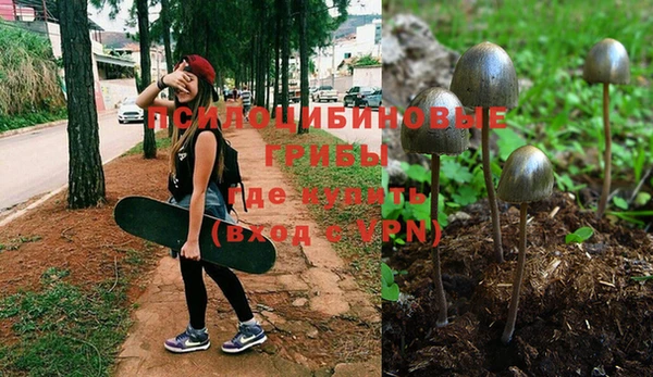 apvp Магас