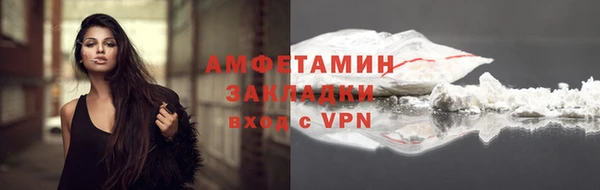 индика Медвежьегорск