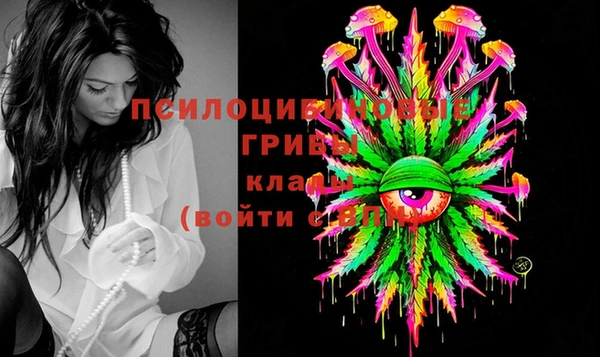 apvp Магас