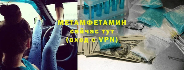 индика Медвежьегорск